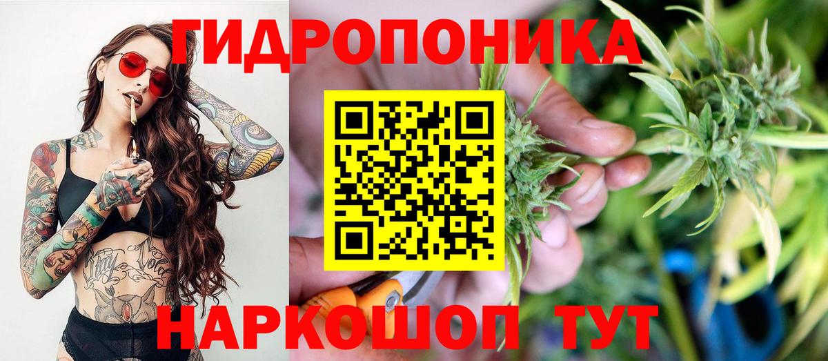 Канабис гибрид  Вход с VPN  Бошки Шишки семена  Бошки марихуана MAZAR  Санкт-Петербург 